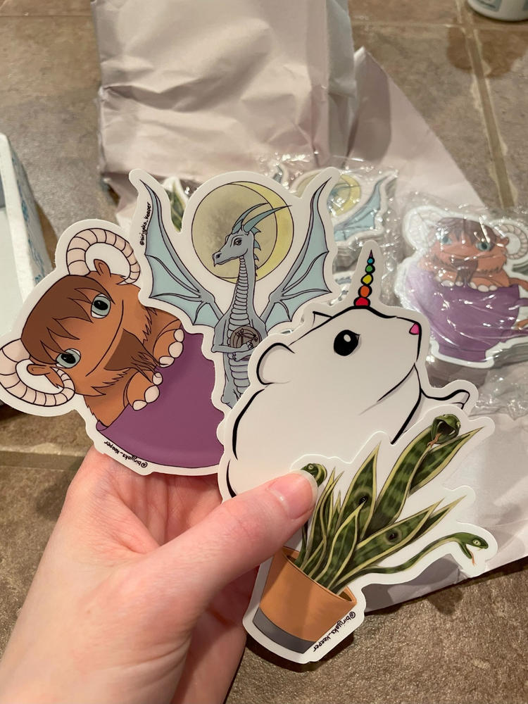 Sample Sticker Pack - Customer Photo From Anonymous