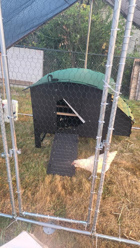 Chicken Coop - Customer Photo From Anonymous