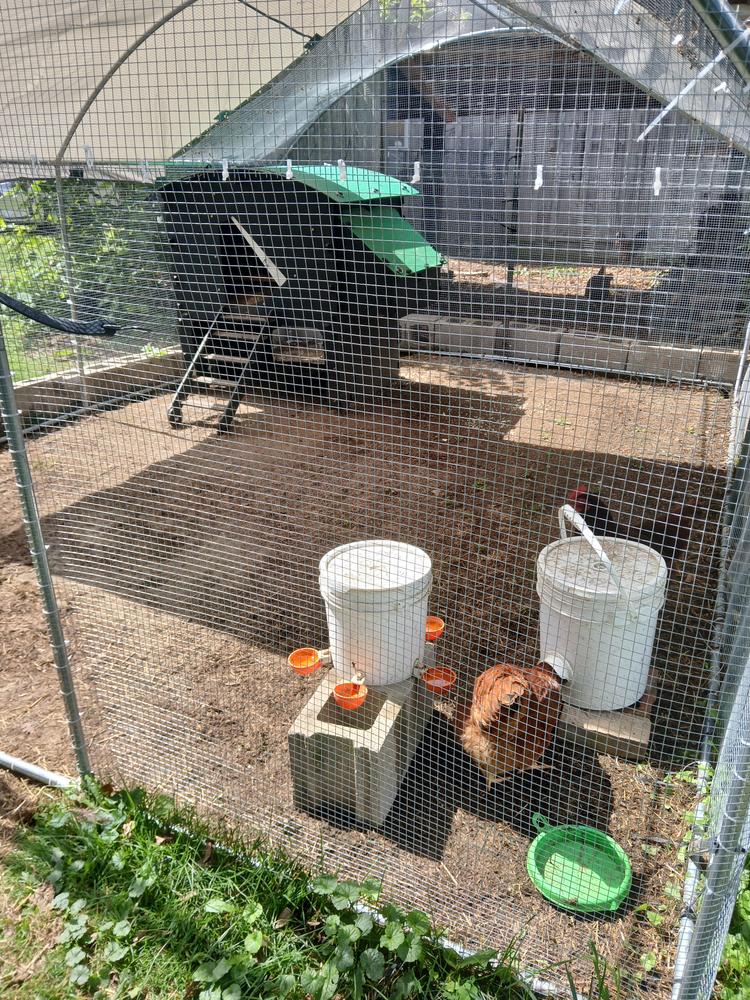 Chicken Coop - Customer Photo From Pamela