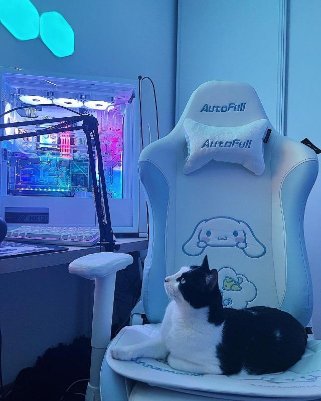 AutoFull Cinnamoroll Gaming Chair High Back Ergonomic Office Desk Computer  Chair with Lumbar Support, Racing Style PU Leather Task Chair with