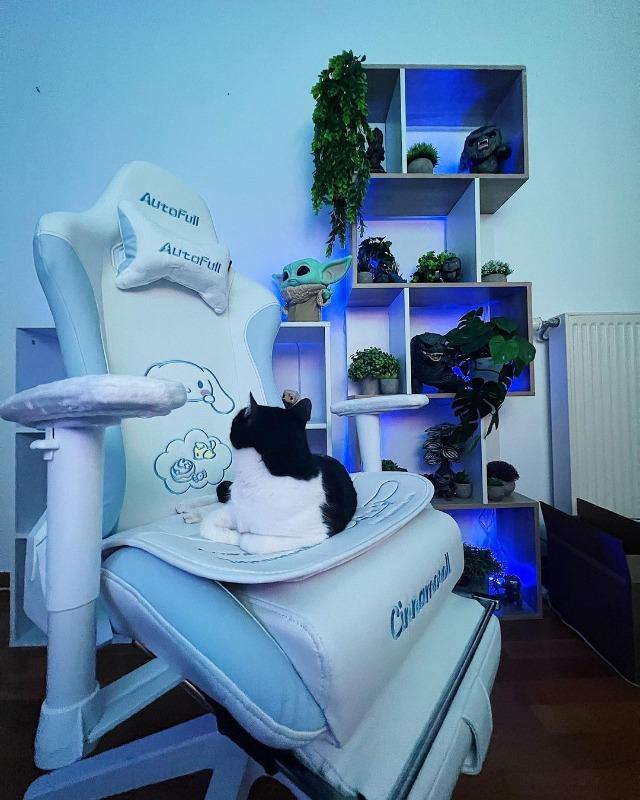 AutoFull Cinnamoroll Gaming Chair High Back Ergonomic Office Desk Computer  Chair with Lumbar Support, Racing Style PU Leather Task Chair with