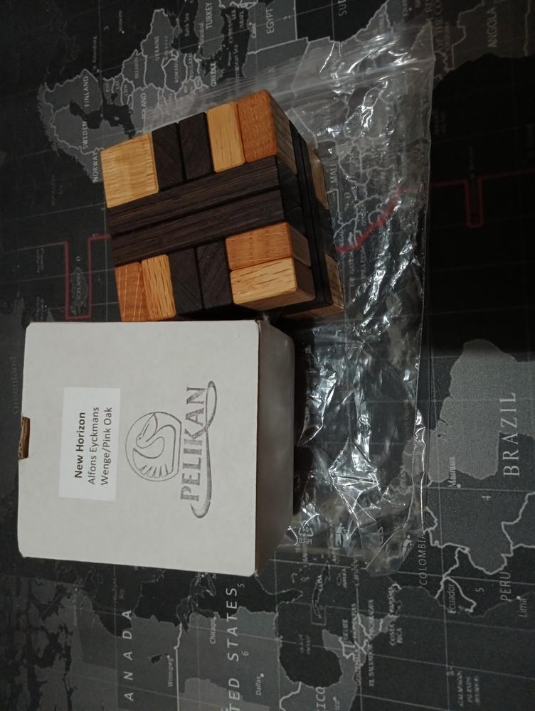 New Horizon - Level 10 - Alfons Eyckmans - Pelikan Puzzles - Customer Photo From Tack Shun Yap