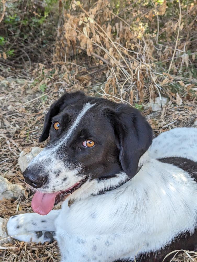 Luminar 4: Step by Step - Customer Photo From Judith Robinson