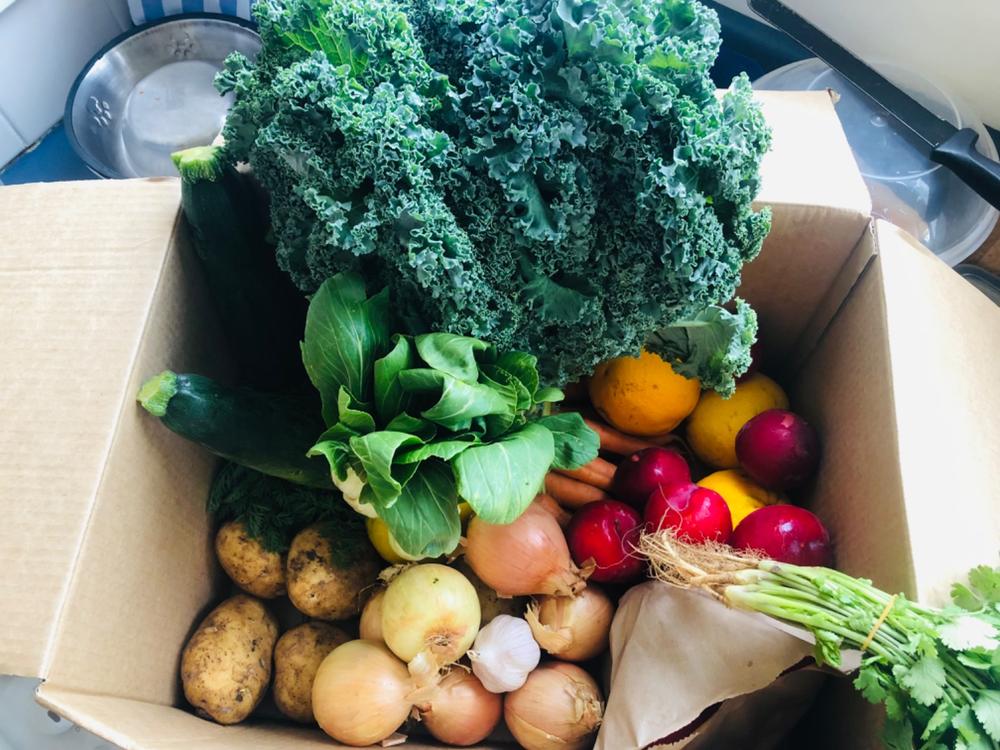 The Wonky Fruit & Veg Box Delivery in Wellington The Wonky Box