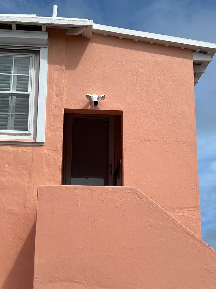 1080p HD WiFi Surveillance Floodlight Camera - Customer Photo From John Henry Heman Smith Jr.