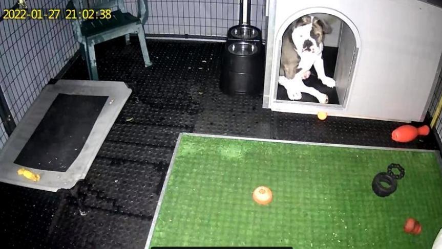 Beach House Smart Solar WIFI PTZ Security Camera - Customer Photo From John H. H. Smith Jr