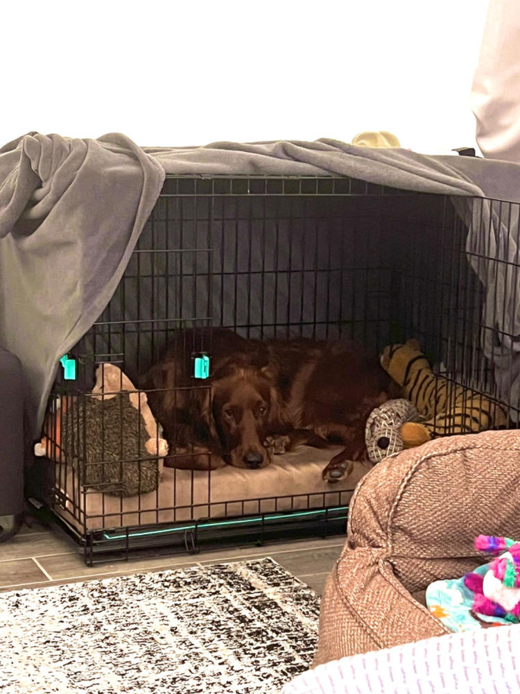 Waterproof Liner | Crate Bed - Customer Photo From Corinne Brunckhurst