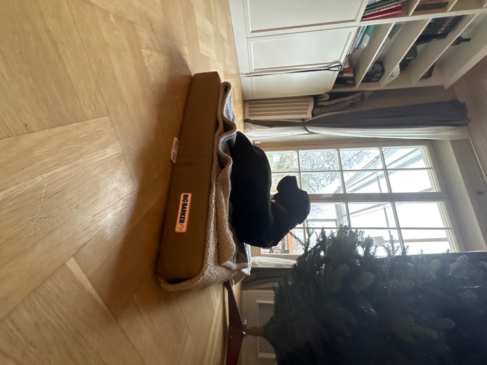 Waterproof Liner | Crate Bed - Customer Photo From IVANA KRALJIC
