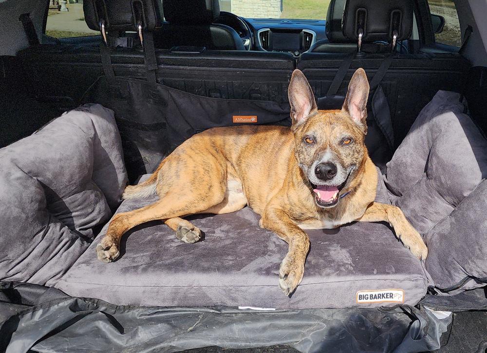 Waterproof Dog Bed Liner for Backseat Barker Big Barker