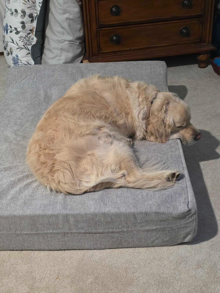 Original Orthopedic Dog Bed - Customer Photo From Christy Schroeder