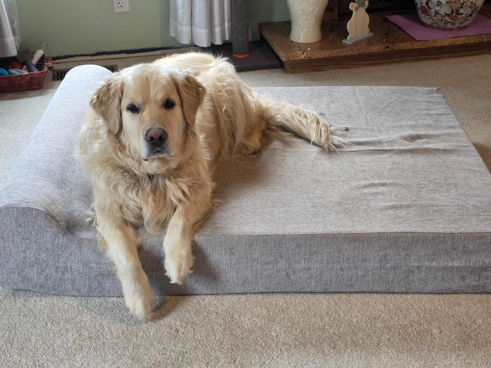 Original Orthopedic Dog Bed - Customer Photo From Christy Schroeder