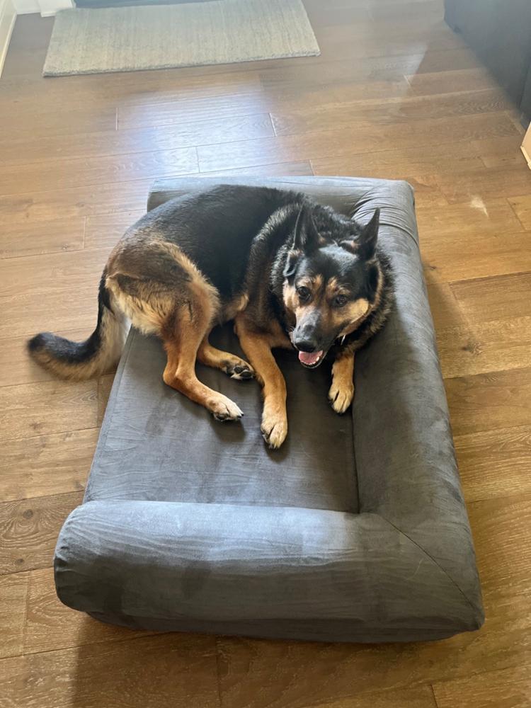 Big Barker Orthopedic Dog Bed - Customer Photo From Roel de los Santos