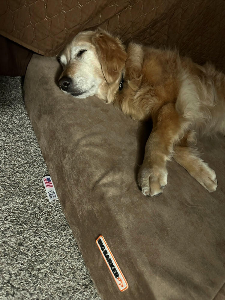 Barker Beds Orthopedic Dog Bed - Customer Photo From Laura Allen
