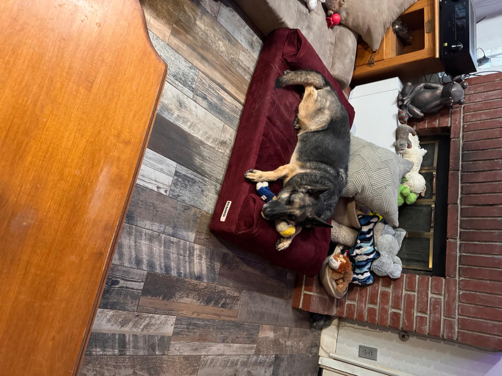 Big Barker Orthopedic Dog Bed - Customer Photo From Don Weber