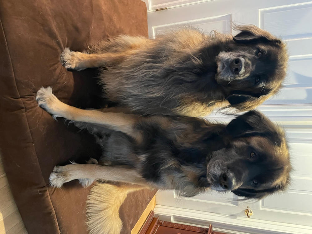 Quick Fit Covers | 7" Beds - Customer Photo From Karyn caissie