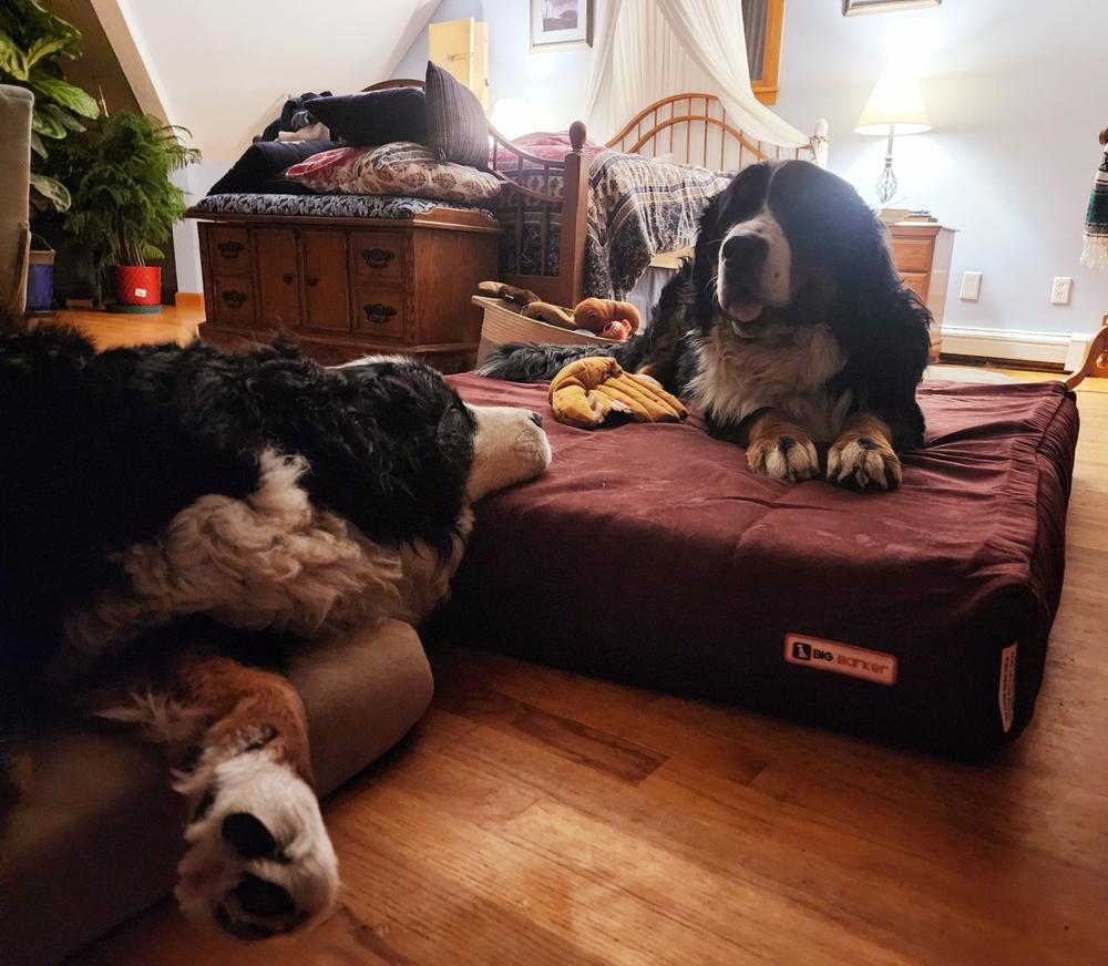 Quick Fit Covers | 7" Beds - Customer Photo From Ellen Burke