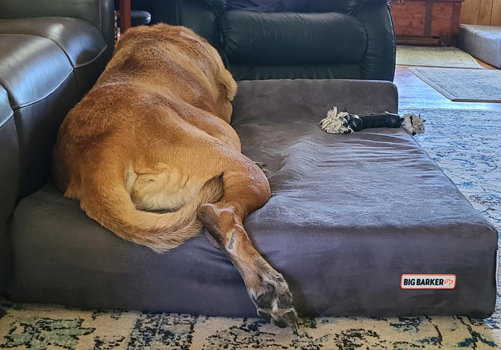Quick Fit Covers | 7" Beds - Customer Photo From Donna Cameron