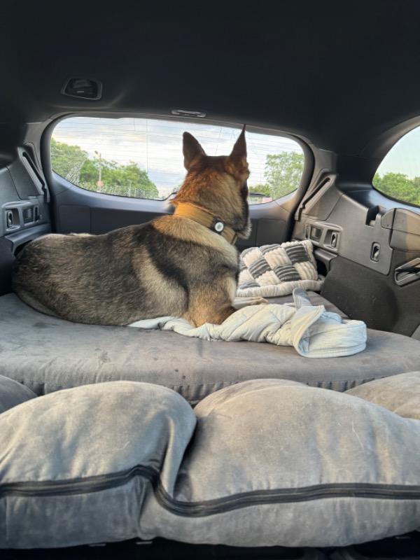 Backseat Barker: SUV Edition - Customer Photo From Leanne Schwantz