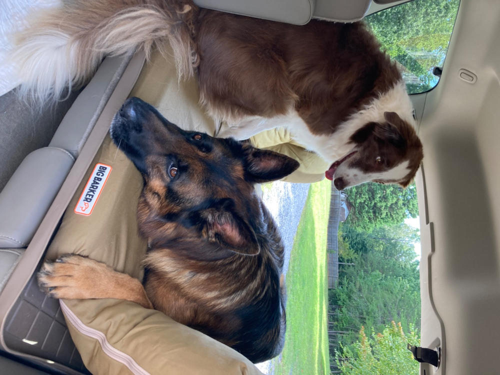 Backseat Barker: SUV Edition - Customer Photo From Shauna Henderson