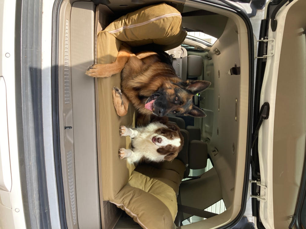 Backseat Barker: SUV Edition - Customer Photo From Shauna Henderson