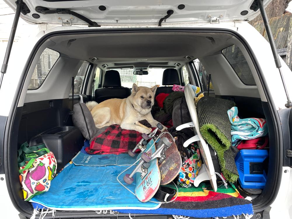 Backseat Barker: SUV Edition - Customer Photo From Kathleen Hayes