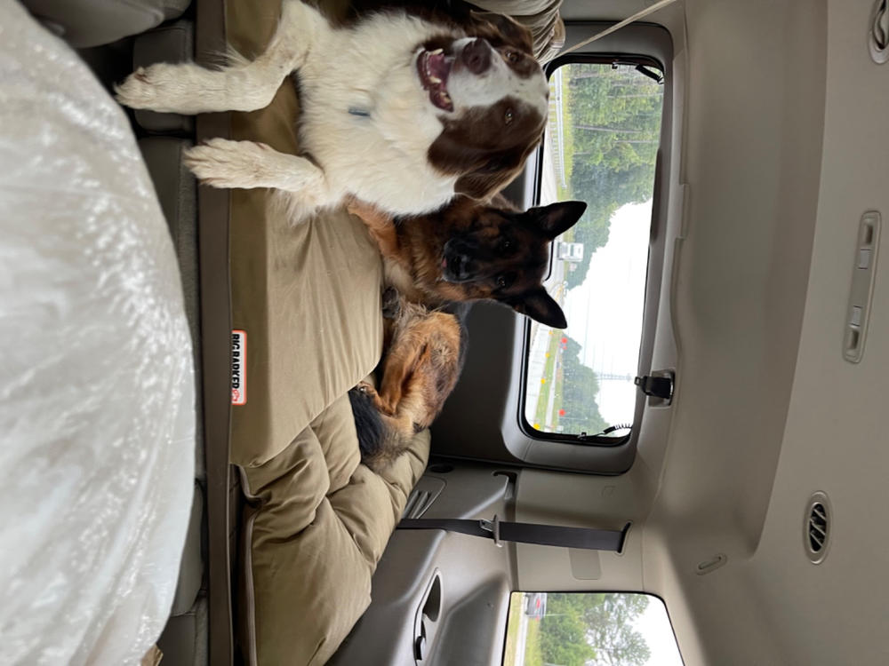 Backseat Barker: SUV Edition - Customer Photo From Shauna Henderson