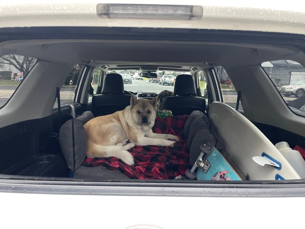 Backseat Barker: SUV Edition - Customer Photo From Kathleen Hayes