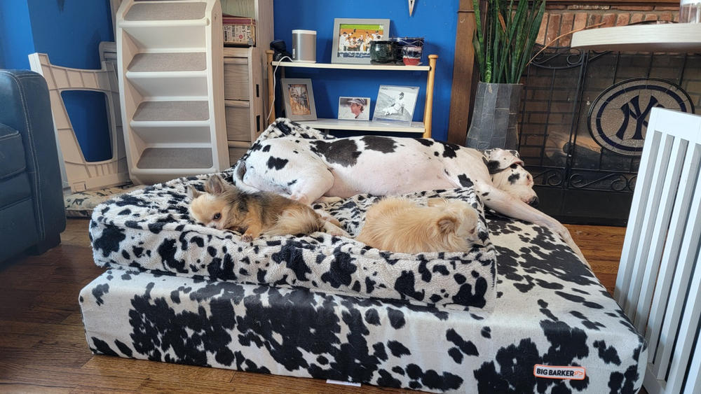 Headrest Edition | Limited Edition Animal Print - Customer Photo From Kristeen Kohrs