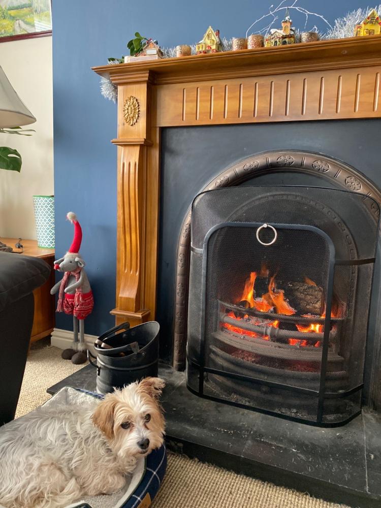 City Bag® Kiln Dried Oak Firewood - Customer Photo From Paula Gleeson