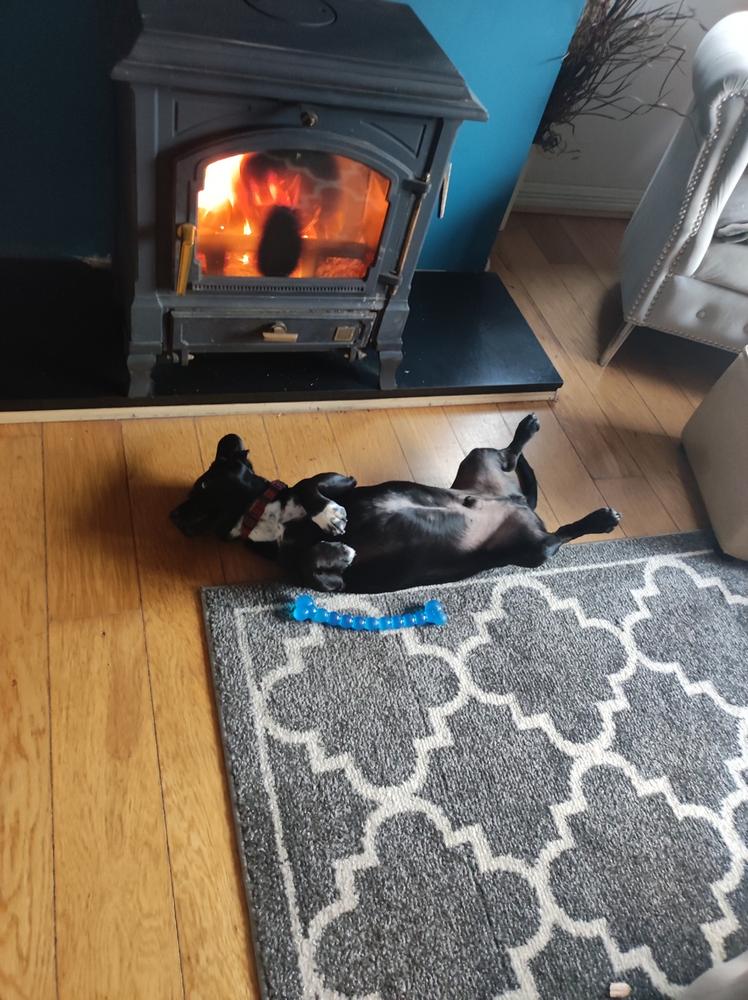 City Bag® Kiln Dried Birch Firewood - Customer Photo From Abbie Harris