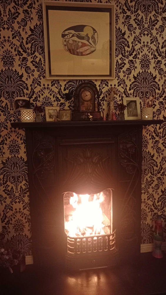 City Bag® Kiln Dried Birch Firewood - Customer Photo From Elspeth Cameron