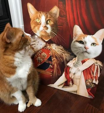 Canvasist Royal  Couple Pet Canvas Review