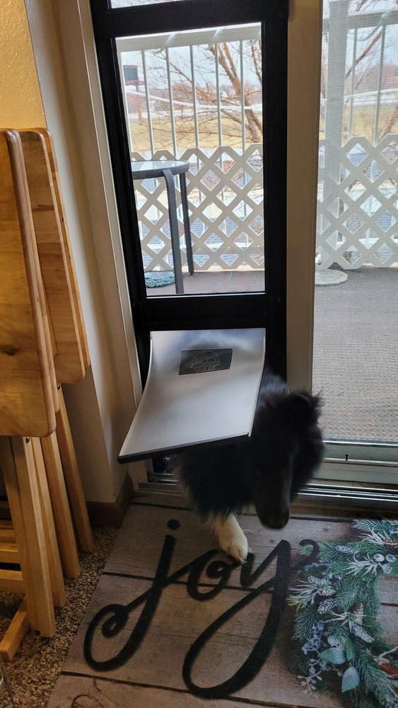 Cat door outlet panel