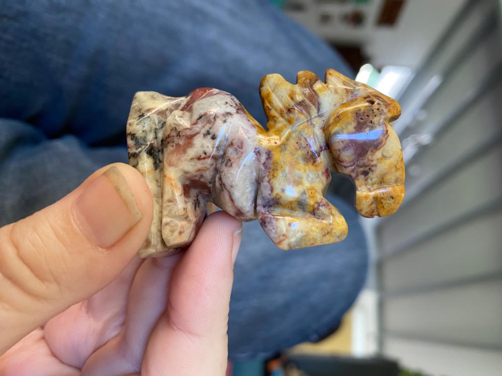 Crazy Lace Agate Mustang - Customer Photo From Susie W.