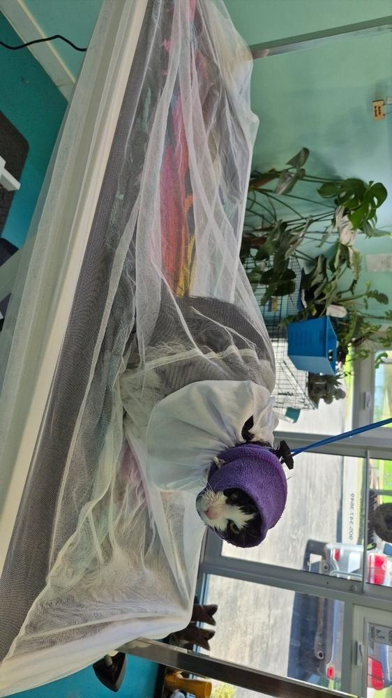 The Big Hair Net - Customer Photo From Anonymous