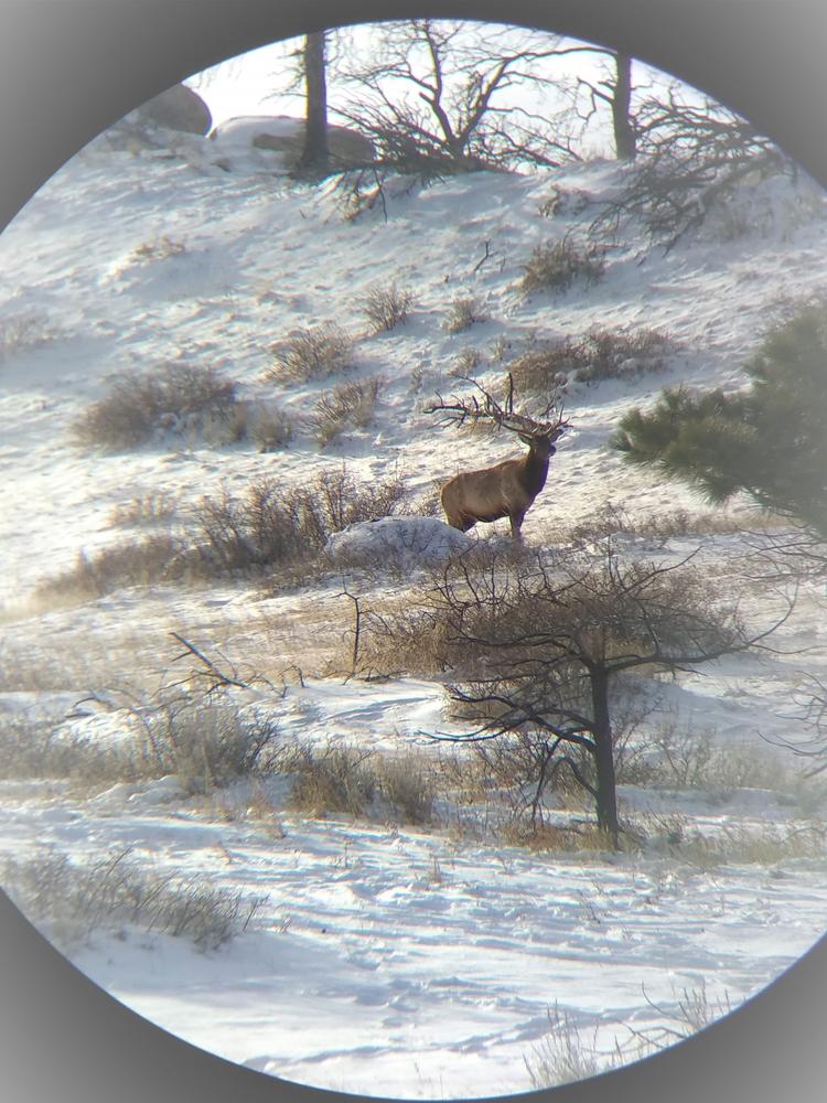 Mesa - Customer Photo From Randy Replogle