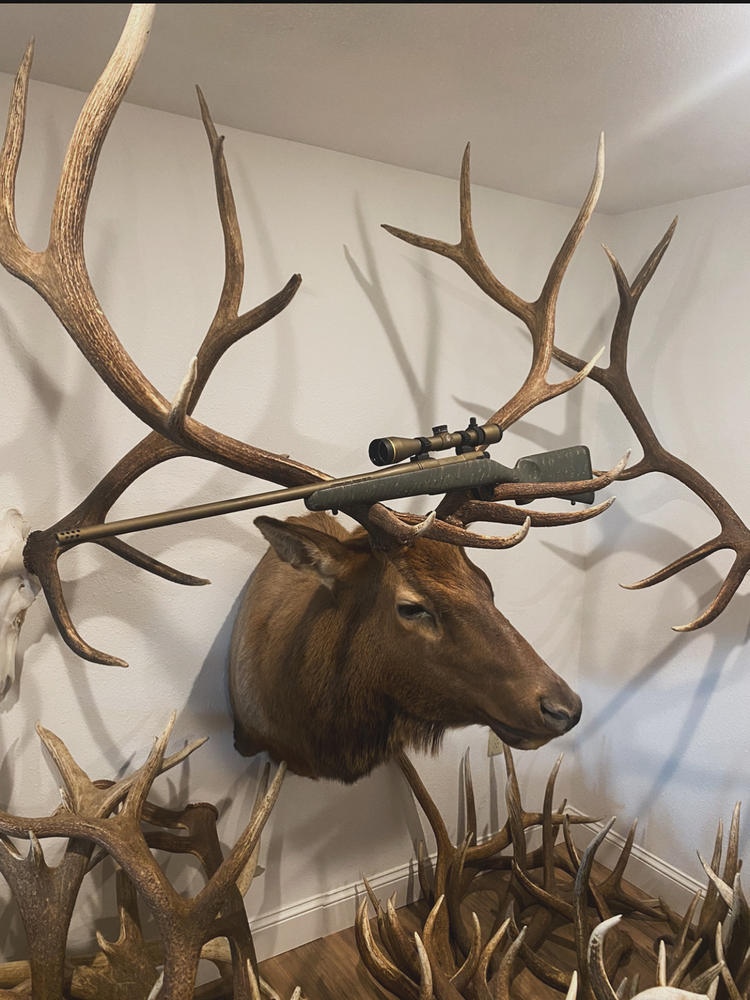 Mesa - Customer Photo From Ben