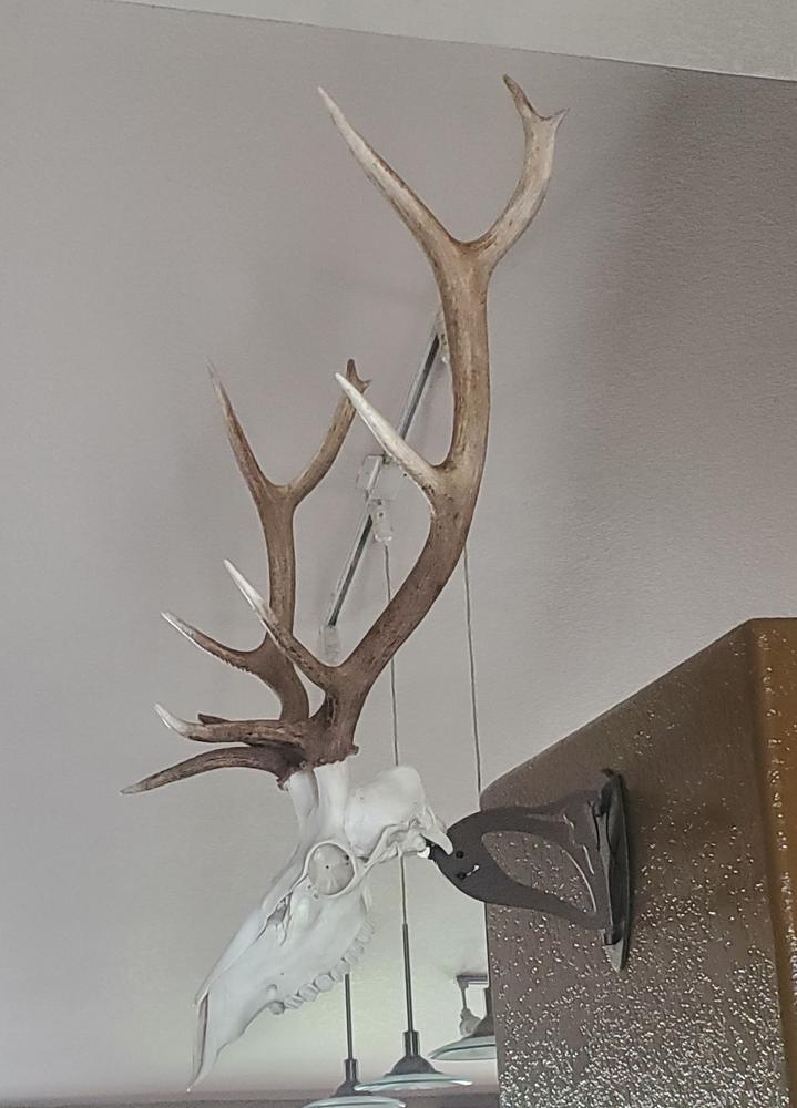 Ridgeline - Customer Photo From Jason H