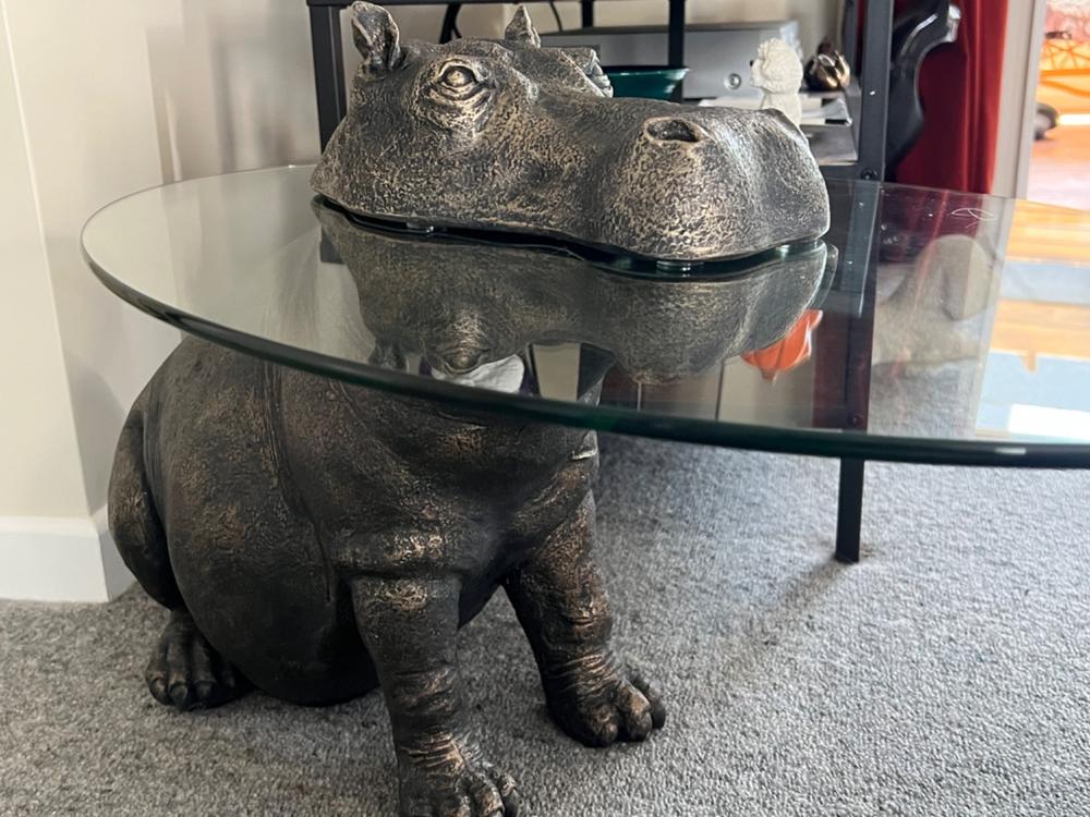 Hippo Table - Customer Photo From Pam Castle