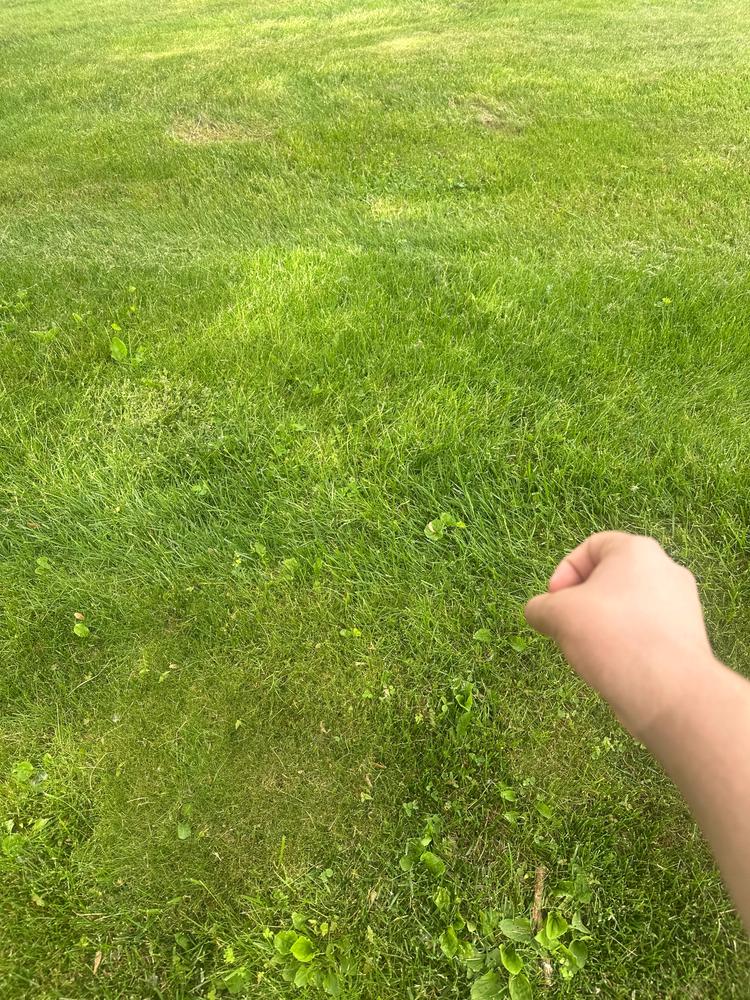 Invisible Katana - Customer Photo From DeAngelo