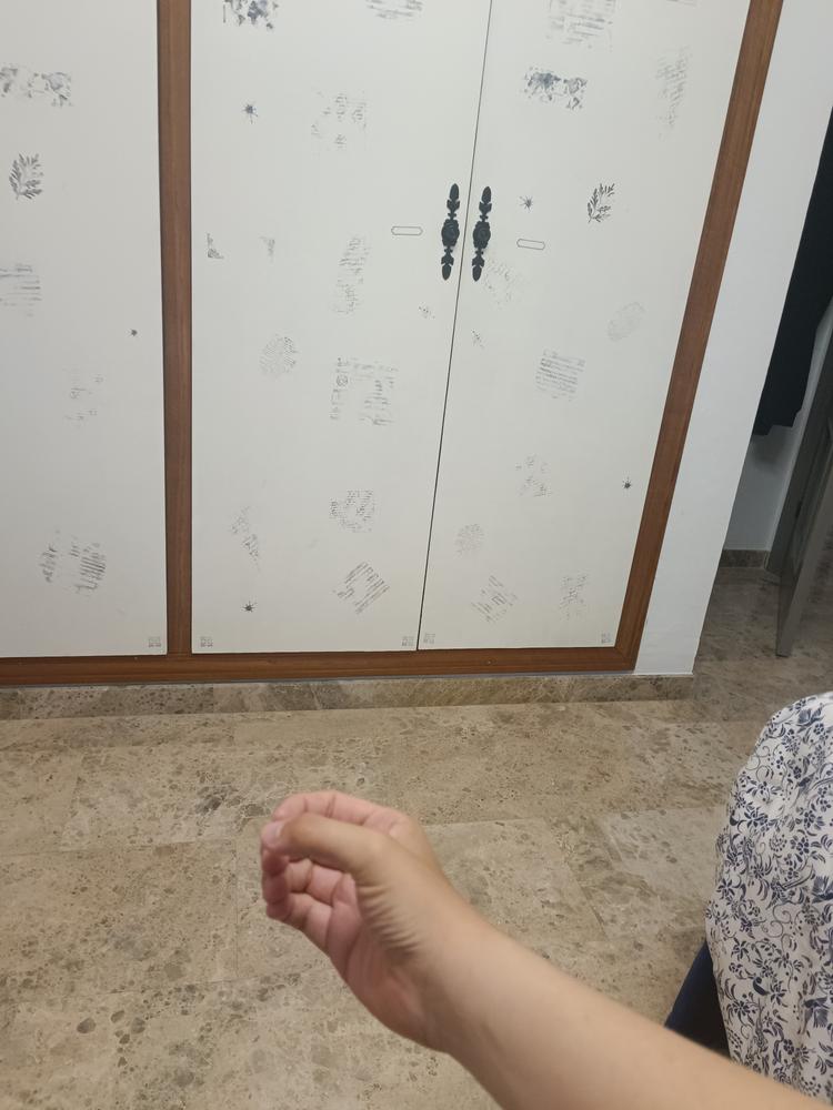 Invisible Katana - Customer Photo From Lucas Garcia