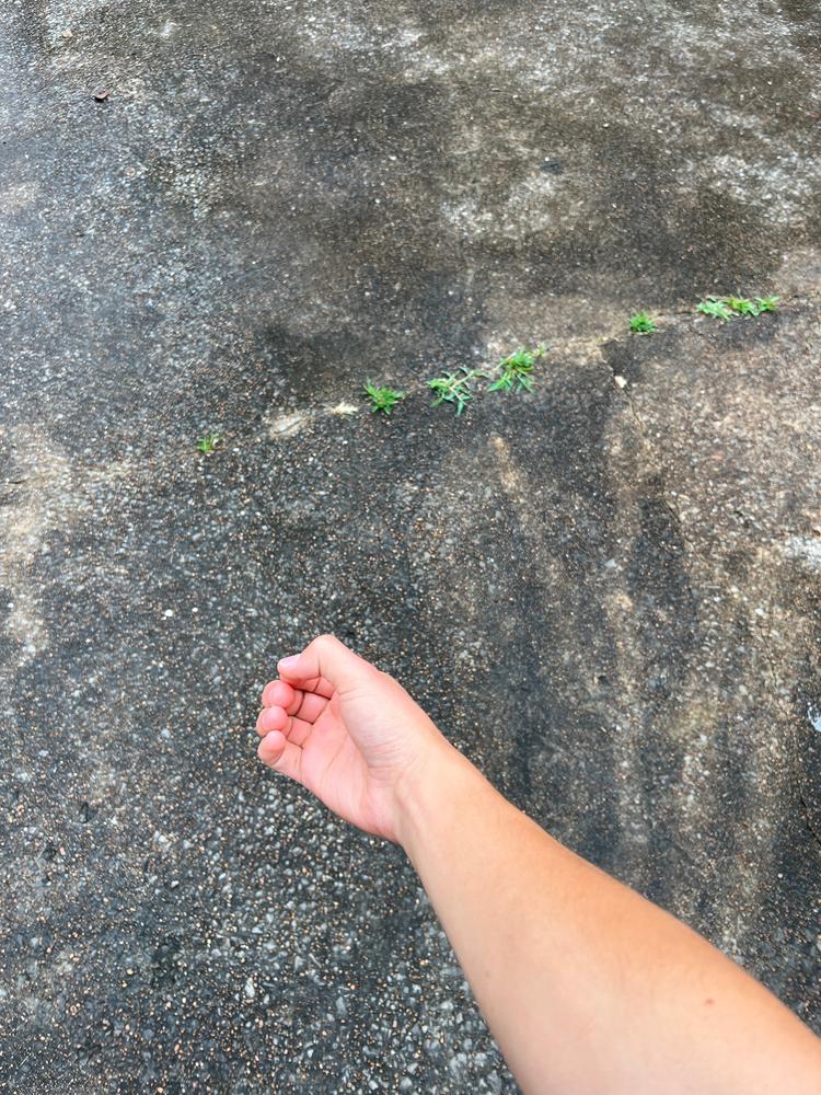 Invisible Katana - Customer Photo From Elon Musk