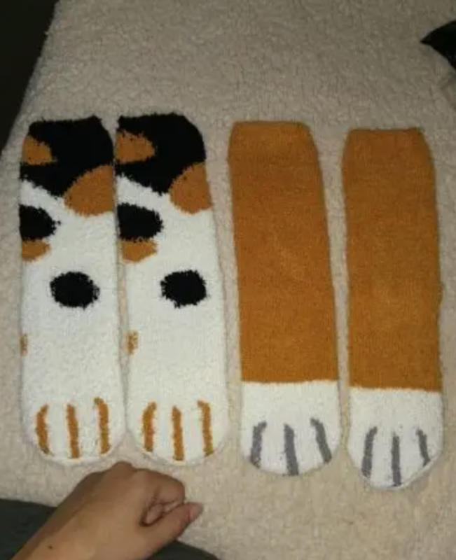 Cat paw socks - Customer Photo From Scott Mableson
