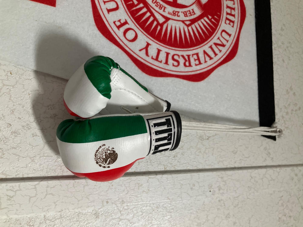 Brazil Flag Mini Boxing Glove Banners - Set Of 2 Car Mirror Decorations