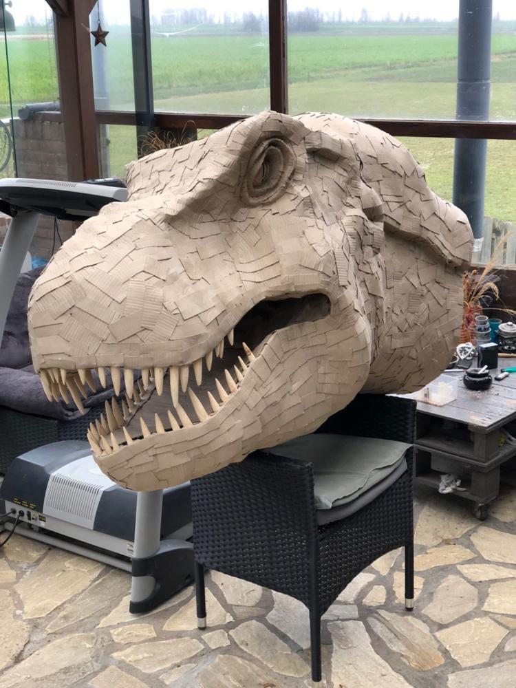 T-Rex Head TEMPLATES for cardboard DIY - Customer Photo From Maikel van Kastel
