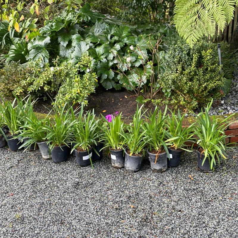 cache pots indoor plants Potier Cachepot – Spring Sweet main image 1