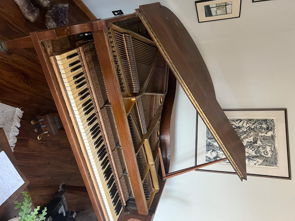 Kit Accordage Piano 16 Pièces Yuhtech - Marteau En L, Sourdines, Diapason - Professionnel