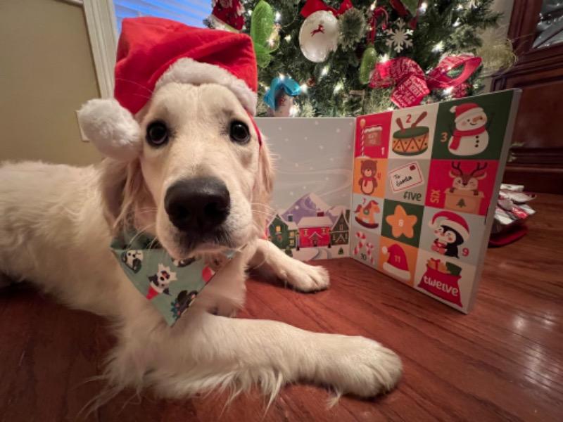 happy pawlidays dog bandana - Customer Photo From Colby Crim