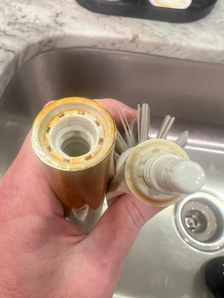 The Ionic Dish Brush - Customer Photo From Nikki