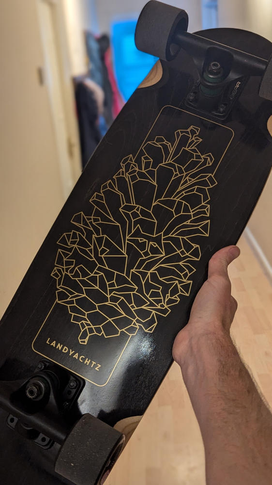 Landyachtz Dinghy Blunt Pinecone Cruiser Board - Customer Photo From Andy Kleeman